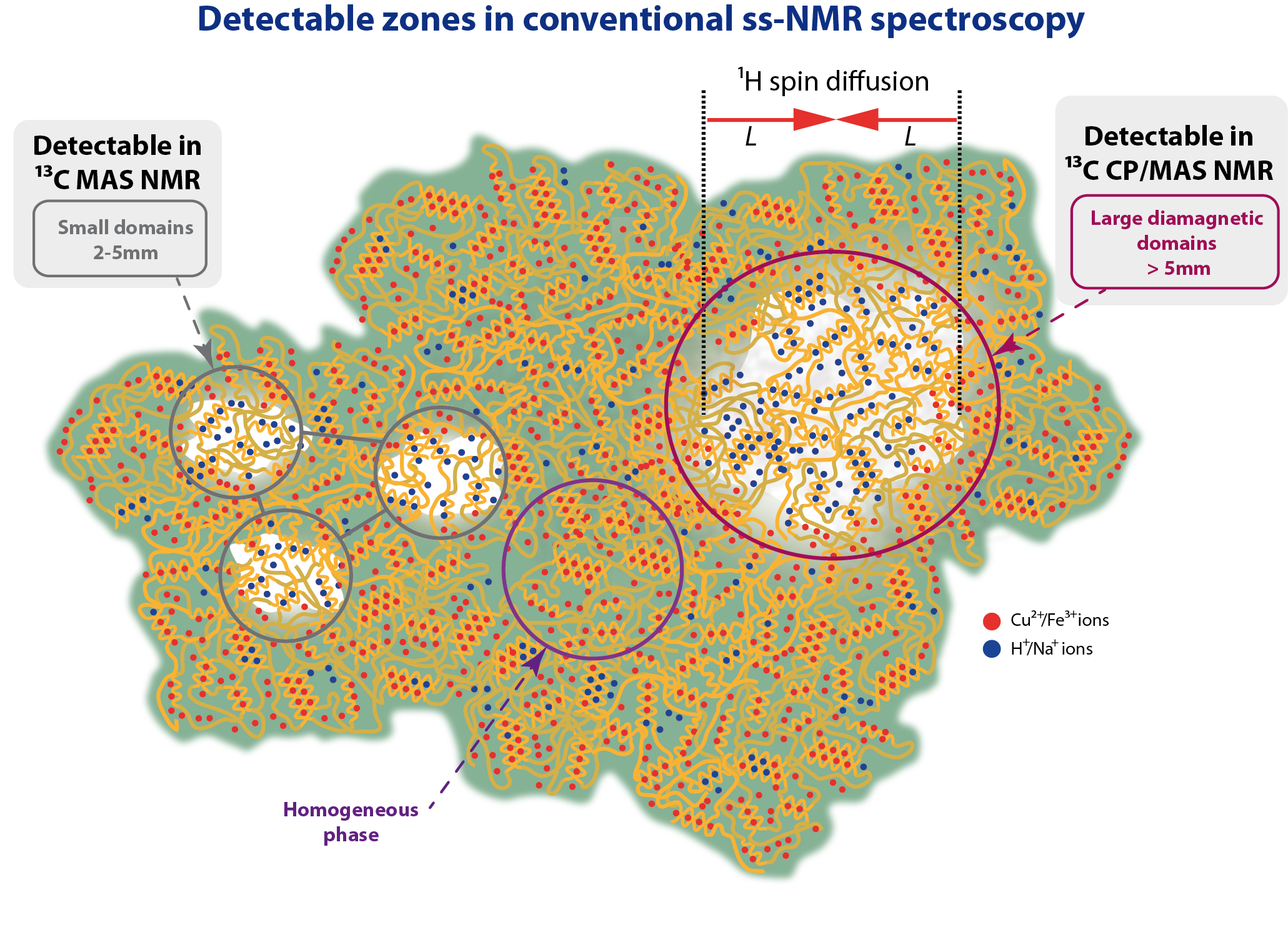 Graphical abstract – Detectable zones
