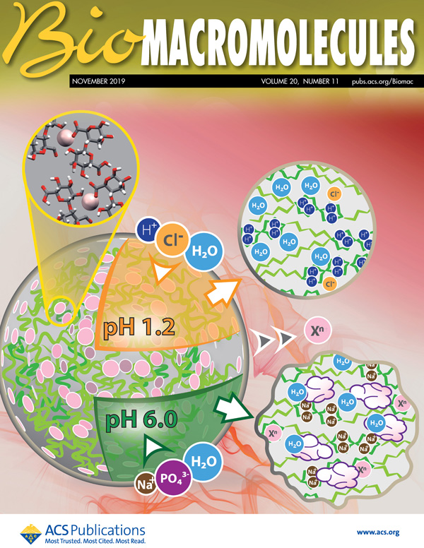 Obálka časopisu – BioMacromolecules