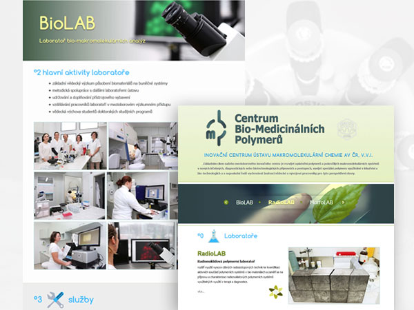 Centrum biomedicinálních polymerů