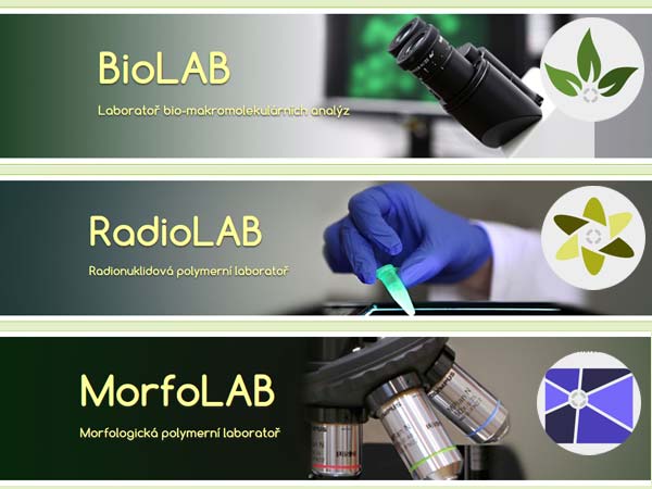 Centrum biomedicinálních polymerů