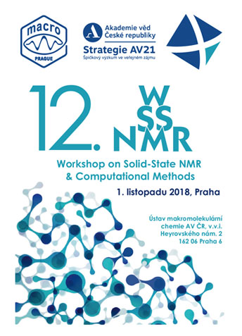 Workshopy ssNMR