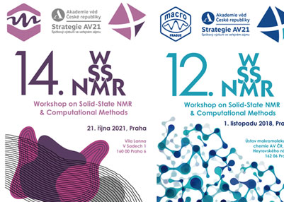 Workshopy ssNMR